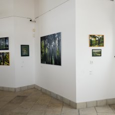 28.8.2020 v Galerii ve Věži ve Vysokém Mýtě (11)